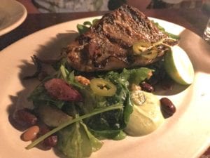 Grouper fish at Hartwood
